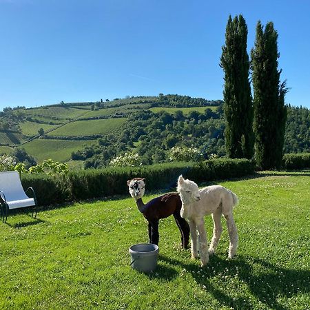 Villa Rignana - Chianti Cottage Greve in Chianti Esterno foto